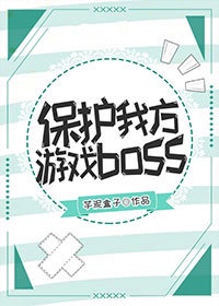 保护我方游戏boss小说