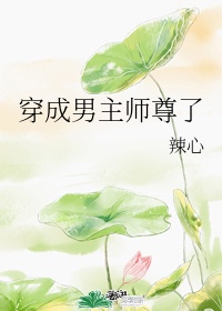 穿成男主师尊了小说阅读