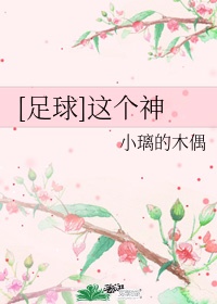 足球这个神 小说