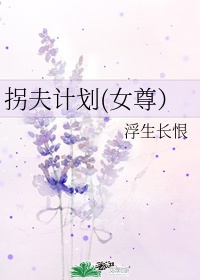 拐夫计划(女尊)作者:浮*******恨