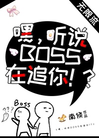 嘿!听说BOSS在追你!? 小说