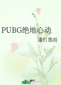 绝地PUBg