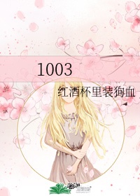 1003什么意思爱情含义