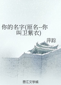 小说 你的名字是什么