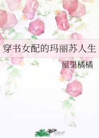 穿书女配的玛丽苏人生txt