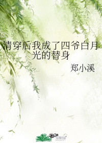 清穿后我成了四爷的软娇包