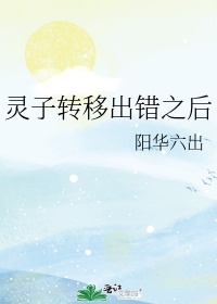 灵子转移出错之后256中文