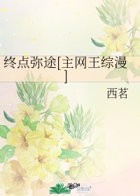 终点 官网