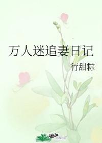 邪王追妻日记