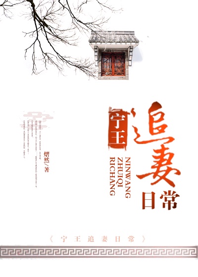 宁王追妻日常小说