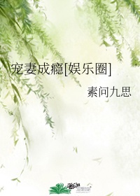 宠妻成瘾什么意思