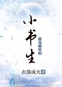 小书生什么意思