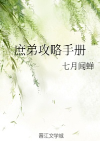 庶女攻略手册讲什么