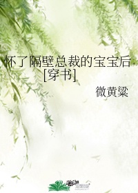 怀了隔壁总裁的宝宝后穿书txt