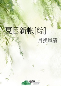 夏目新帐综百度网盘