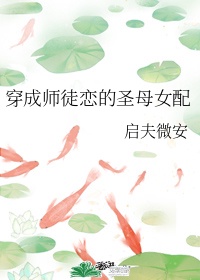 穿成了师徒恋的圣母女配