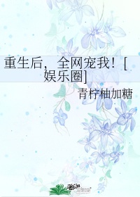 许你万丈光芒好免费全文