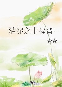 《清穿之十福晋日常》