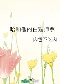 二哈和他的白猫师尊小说万古情毒