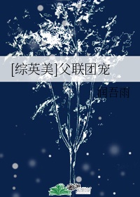 综英美团宠小宝贝