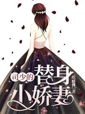 《司少的替嫁新娘》 作者:紫夏