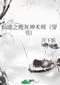 仙途之炮灰神术师穿书百度云