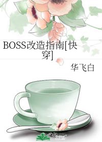 boss如何重置