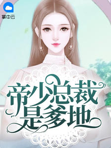 《帝少总裁的宝贝宠妻》作者:安潇潇