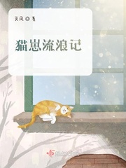 流浪猫幼崽