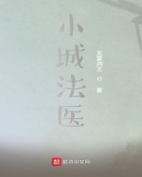 小城法医 小说