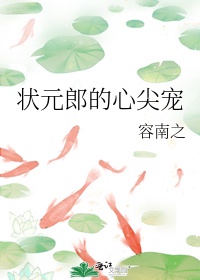 状元郎的炮灰前妻(穿书)作者:衬衫与裙