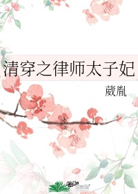 清穿之律师太子妃番外