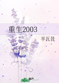 重生2003免费阅读