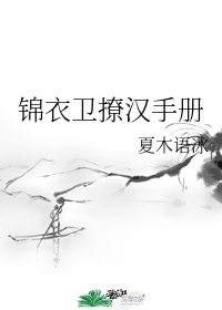 《锦衣卫》小说