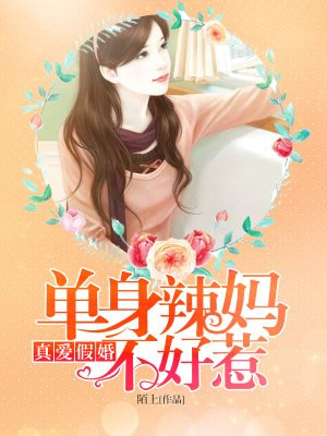 假婚真爱 小说