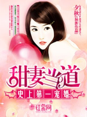 史上第一宠婚完整版