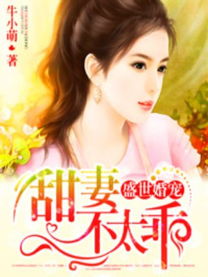 盛世婚宠老婆你别跑小说