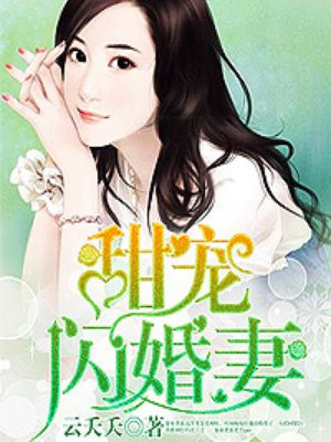 闪婚甜妻总裁限量宠