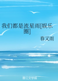 娱乐圈流星雨是谁