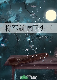 《将军就吃回头草》作者:微小的沙