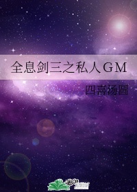 全息剑三之私人GM 百度网盘