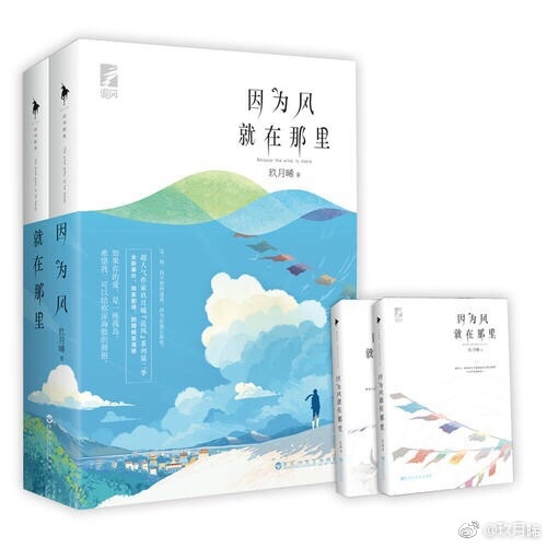 因为风就在那里简介