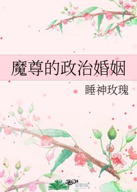 魔尊的政治婚姻by