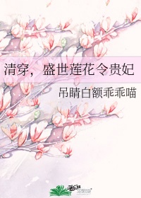 盛世莲花令贵妃52