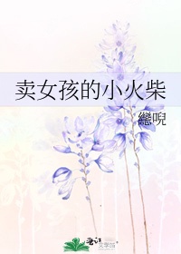 卖女孩的小火柴(银桃花)TXT