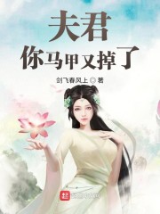 夫君你马甲又掉了起点