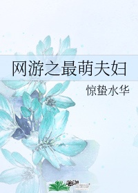 网游之最萌夫妇完整版