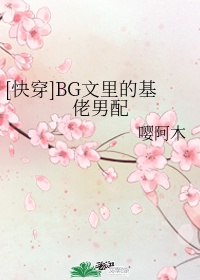 快穿bg文里的基佬男配txt