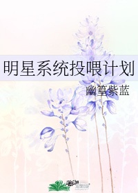 《明星养成系统》