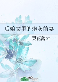 后娘文里的炮灰前妻梨花落er